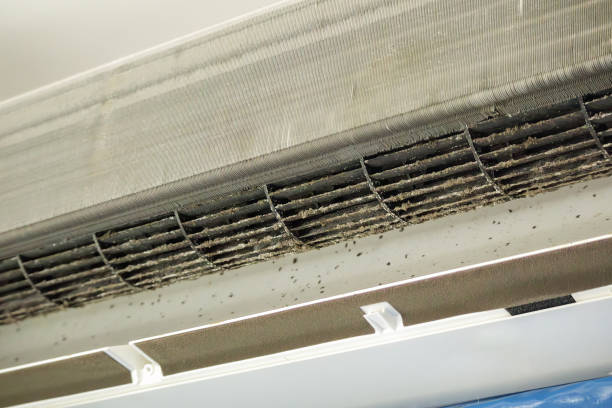 Best Affordable Duct Cleaning Services  in Lynnwood Pricedale, PA